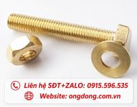 Bulong đồng M12
